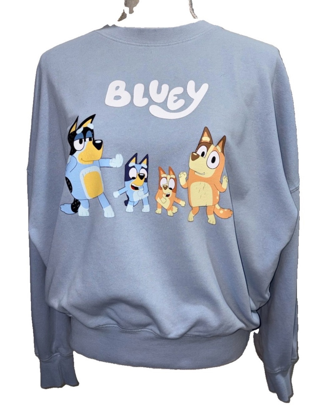 Bluey Family Crewneck Sweatshirt - Light Blue Bluey - Bandit - Bingo - Chilli SM